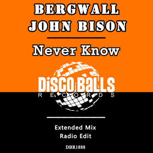 Never Know (Extended Mix)