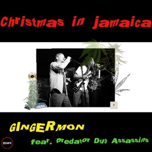 Christmas in Jamaica (feat. Predator Dub Assassins)