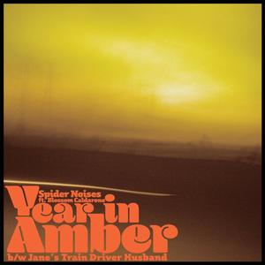 Year in Amber