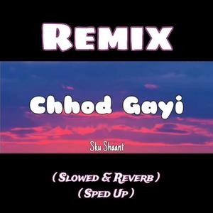 Chhod Gayi (Slowed & Reverb / Sped Up)