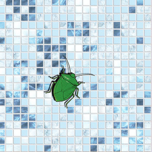 Beatle
