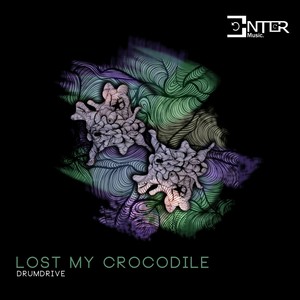 Lost My Crocodile (Original Mix)