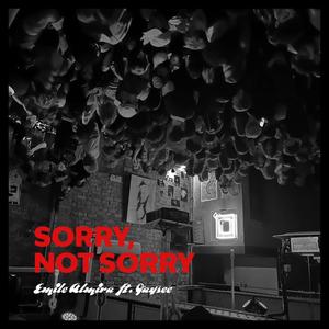 Sorry, Not Sorry (feat. Jaysee)