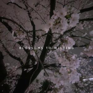 Blossoms to Wilting (Explicit)