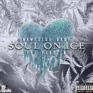 Soul On Ice (Explicit)