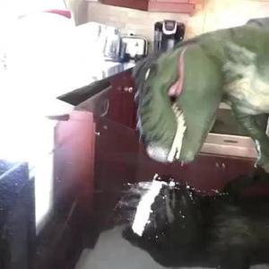 Dino Nuggies (Explicit)