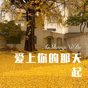 爱上你的那天起 (Remix)