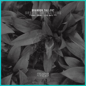 Seeds of Nature (Original Mix)