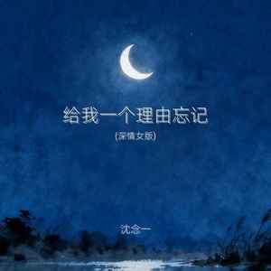 给我一个理由忘记 (深情女版)