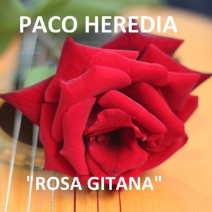 Rosa Gitana