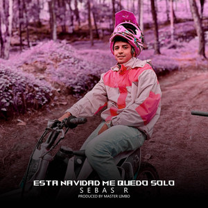 Esta Navidad Me Quedo Solo