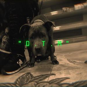 D.T.M (feat. Buggout) [Explicit]