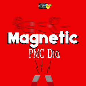 Magnetic (Explicit)