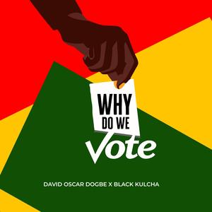 Why Do We Vote (feat. Black Kulcha)