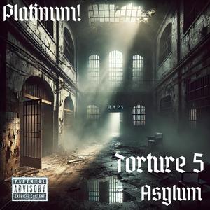 Torture 5: Asylum