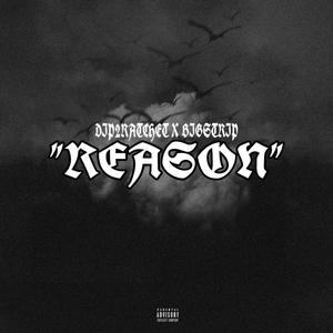 Reason (feat. BigStrip) [Explicit]