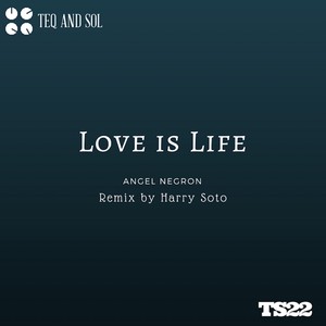 Love Is Life (Harry Sotofro Remix)