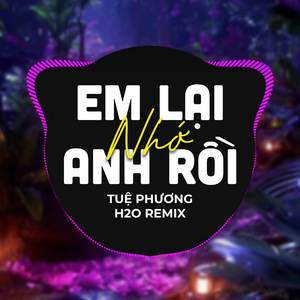 Em Lại Nhớ Anh Rồi (Remix)