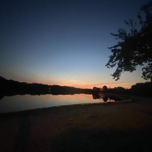 Neglected (Explicit)