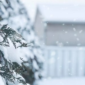 那年冬天有点冷