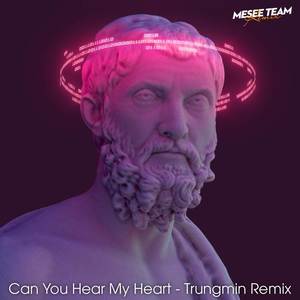 Can You Hear My Heart (Remix)