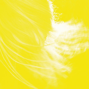 i’m in love... (GLOK Remix)