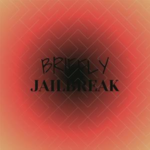 Briefly Jailbreak