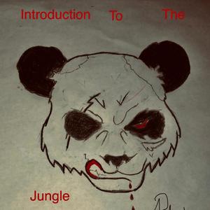 Introduction To The Jungle (Explicit)