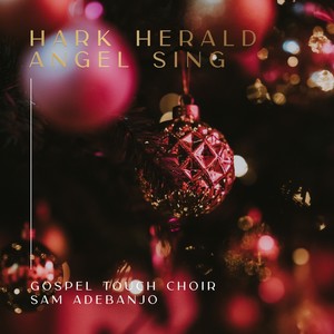 Hark the Herald Angel Sing