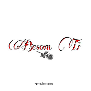 Besom Ti