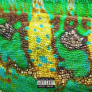 In My Bag (Chameleon)