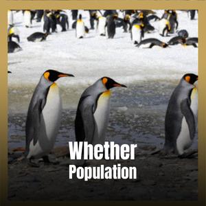 Whether Population