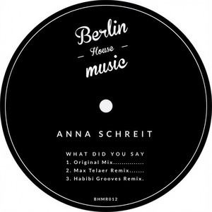 What Did You Say (Max Telaer Remix)