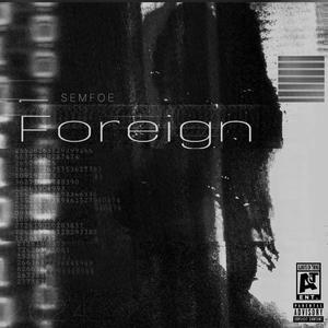 Language (Foreign) [Explicit]