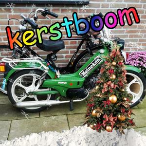 Kerstboom (Explicit)