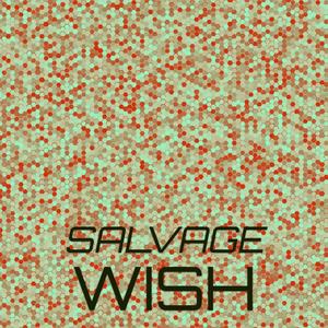 Salvage Wish