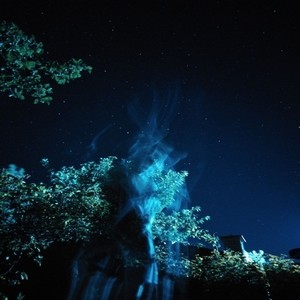 Перед дощем