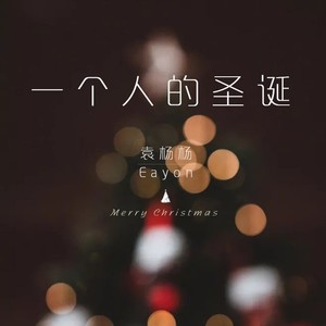 一个人的圣诞