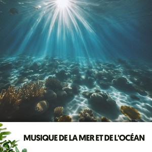 Musique de la Mer et de l'Océan : Mélodies d'Eau et de Sel