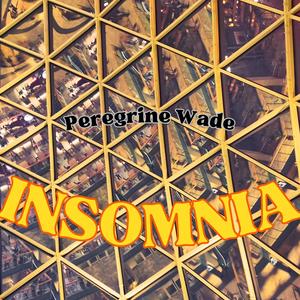 Insomnia (feat. Musiversal)