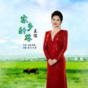 家乡的路