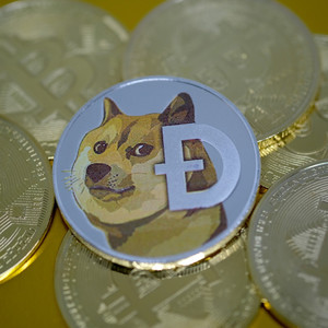 dogecoin to the moon (explicit)