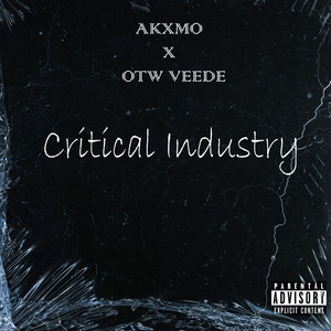 Critical Industry (Explicit)