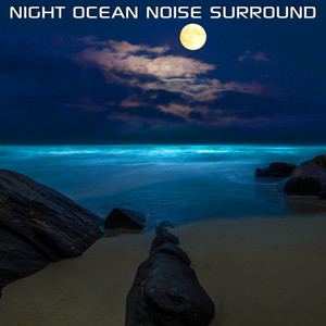 Night Ocean Noise Surround (feat. Discovery Soundscapes, Discovery Ocean Soundscapes, Ocean Relax Sounds, White Noise Sleep Sounds, Ocean White Noise & Sounds Nature)