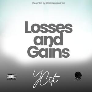 Losses and Gains (Explicit)