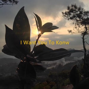 I Want You To Konw