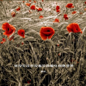 你没见过也没看见我躲在角落里哭