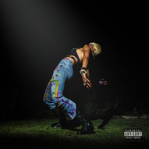 PAINT THE TOWN (Explicit)