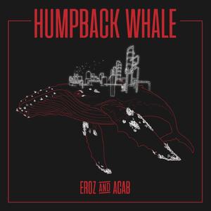 Humpback Whale