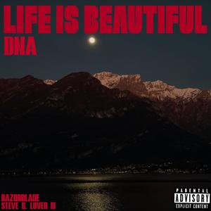 Life Is Beautiful (Explicit)